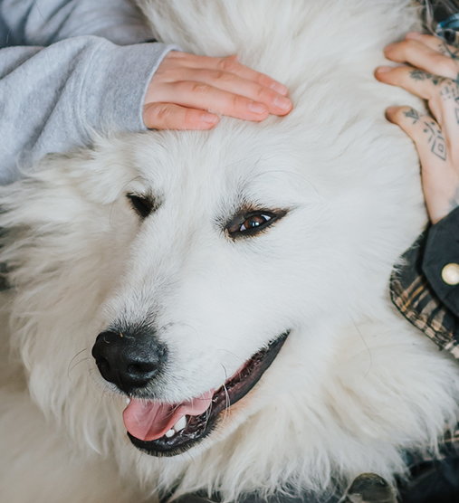 Vishnu qui se fait flatter par deux personnes